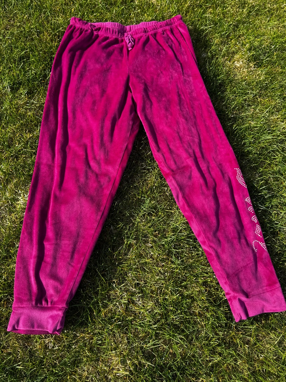 Juicy Fuchsia Velour Jogger Pants